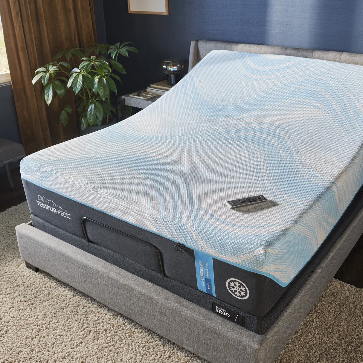 TEMPUR-PEDIC ERGO POWER BASE