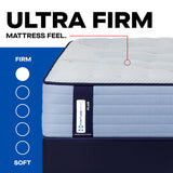 Sealy Posturepedic Plus Paterson II – Ultra Firm