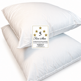 🎁 STANDARD PILLOWS (100% off)
