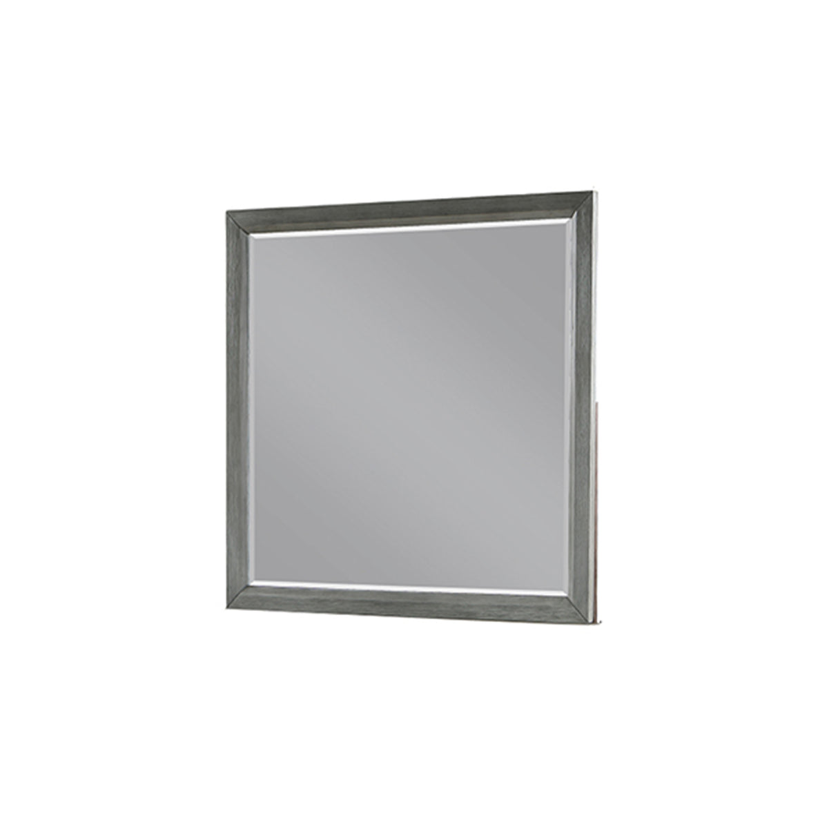 Kenzo Mirror Gray