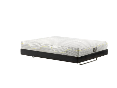 MAGNISTRETCH SPORT 12