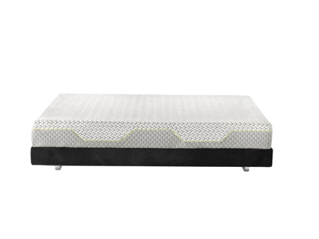MAGNISTRETCH SPORT 12