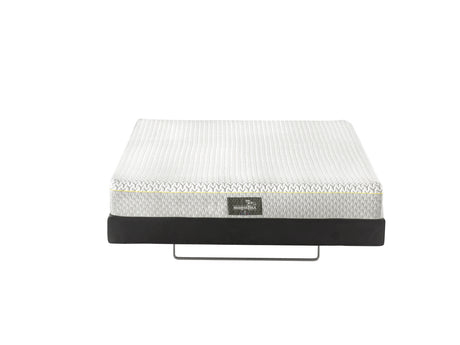 MAGNISTRETCH SPORT 10